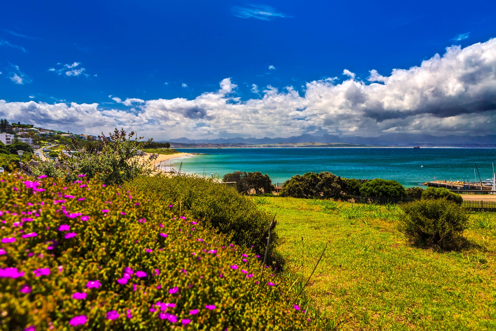 Republic of South Africa. Mossel Bay (Mosselbaai) in Western Cape Province. Botanical garden of the Bartolomeu Dias Museum Complex and Santos Beach in the background